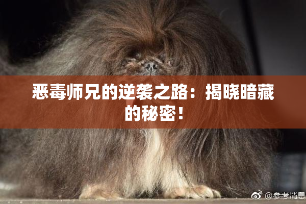 恶毒师兄的逆袭之路：揭晓暗藏的秘密！