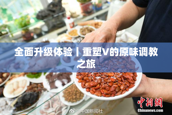全面升级体验丨重塑V的原味调教之旅