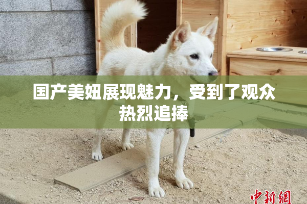 国产美妞展现魅力，受到了观众热烈追捧