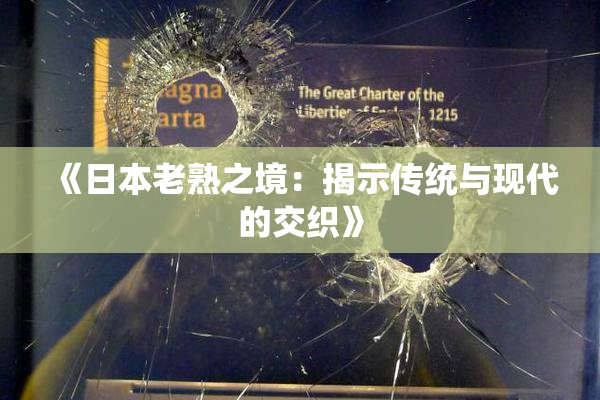 《日本老熟之境：揭示传统与现代的交织》