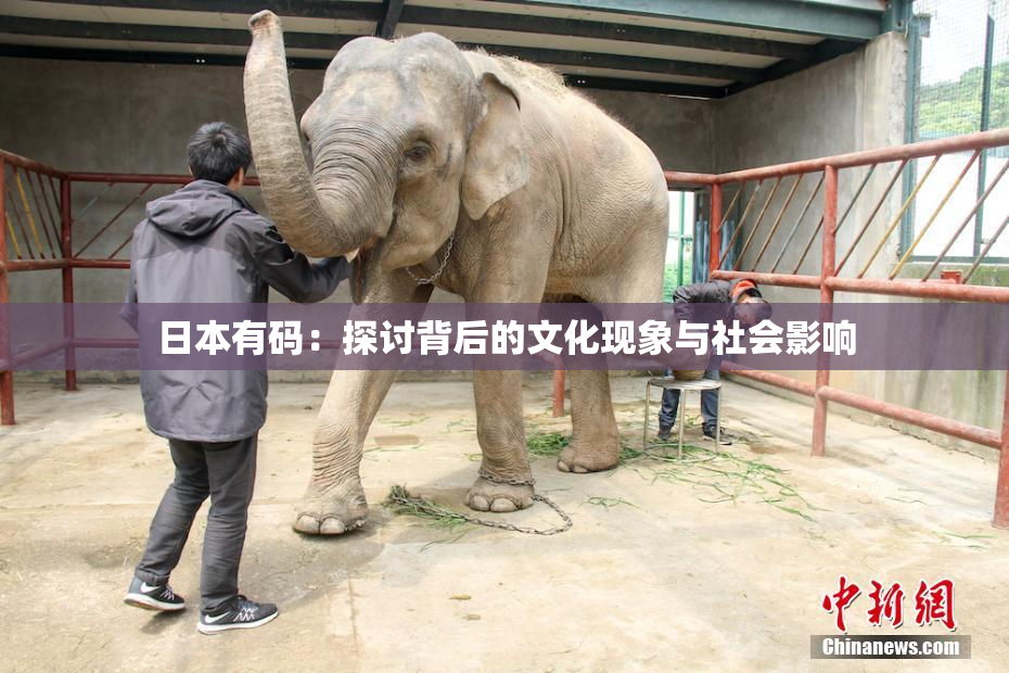日本有码：探讨背后的文化现象与社会影响