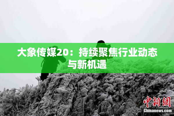 大象传媒20：持续聚焦行业动态与新机遇