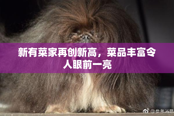 新有菜家再创新高，菜品丰富令人眼前一亮