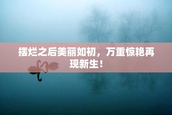 摆烂之后美丽如初，万重惊艳再现新生！
