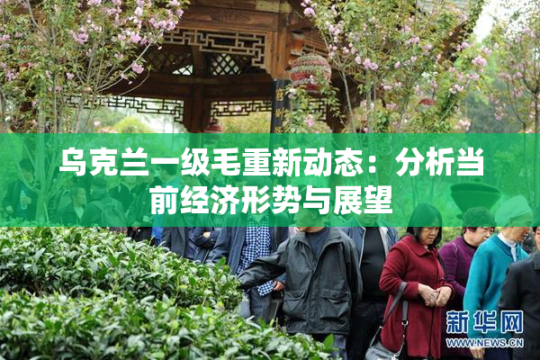 乌克兰一级毛重新动态：分析当前经济形势与展望