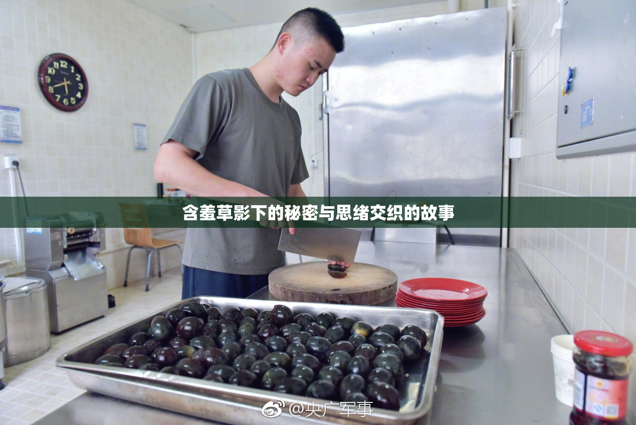 含羞草影下的秘密与思绪交织的故事