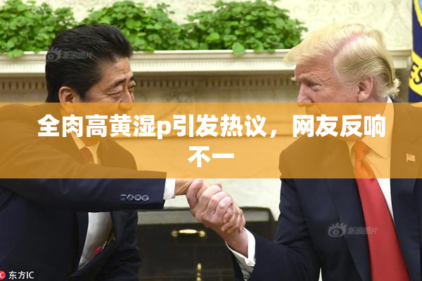 全肉高黄湿p引发热议，网友反响不一