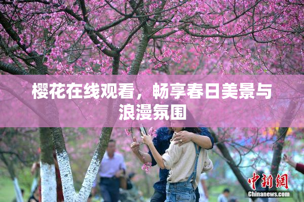 樱花在线观看，畅享春日美景与浪漫氛围