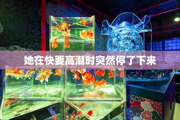 她在快要高潮时突然停了下来