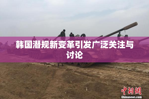韩国潜规新变革引发广泛关注与讨论
