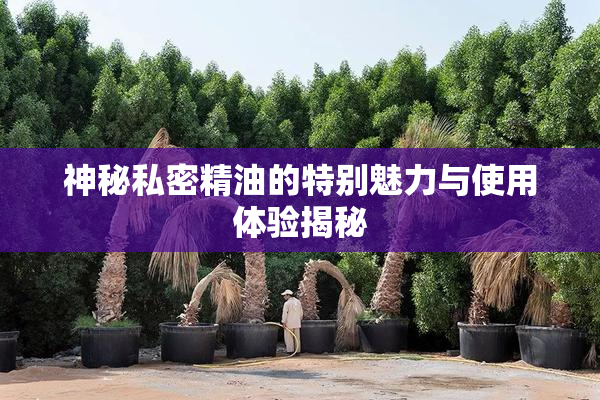神秘私密精油的特别魅力与使用体验揭秘