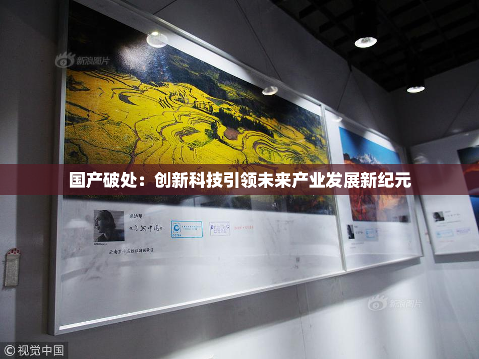 国产破处：创新科技引领未来产业发展新纪元