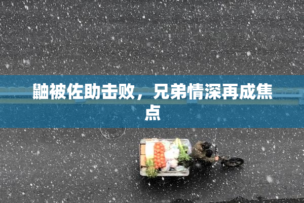 鼬被佐助击败，兄弟情深再成焦点