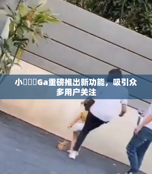 小藍視頻Ga重磅推出新功能，吸引众多用户关注