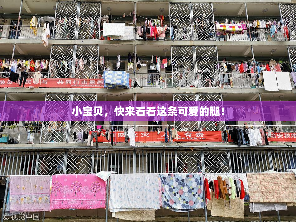 小宝贝，快来看看这条可爱的腿！