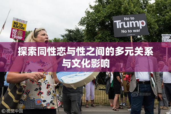 探索同性恋与性之间的多元关系与文化影响