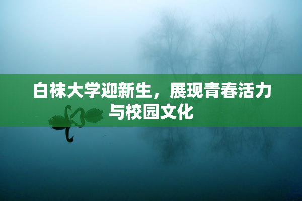白袜大学迎新生，展现青春活力与校园文化