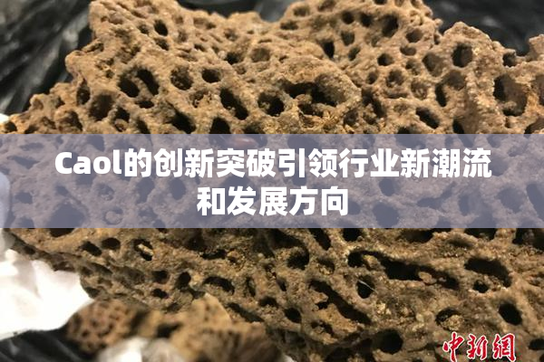 Caol的创新突破引领行业新潮流和发展方向