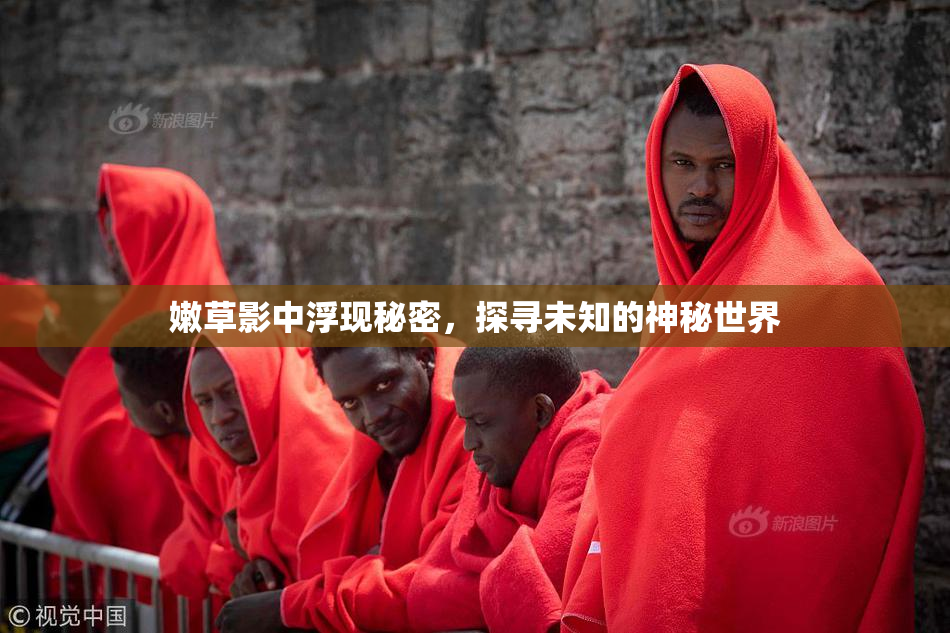嫩草影中浮现秘密，探寻未知的神秘世界
