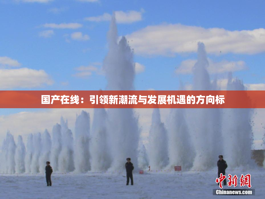 国产在线：引领新潮流与发展机遇的方向标