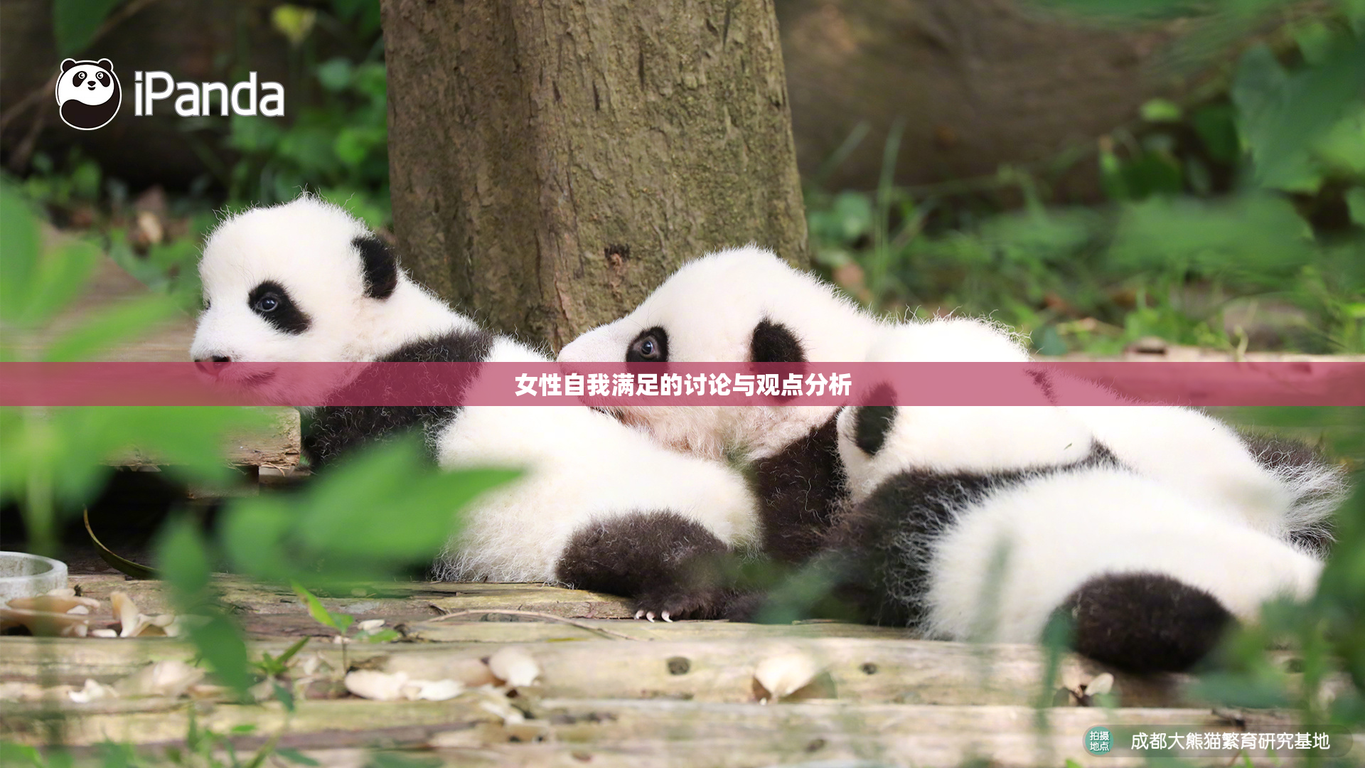 女性自我满足的讨论与观点分析
