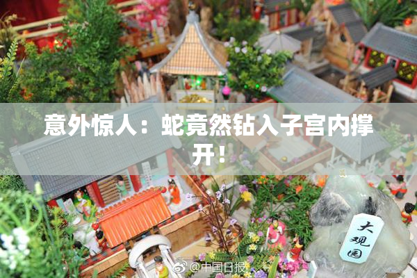 意外惊人：蛇竟然钻入子宫内撑开！