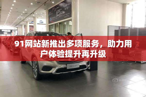 91网站新推出多项服务，助力用户体验提升再升级