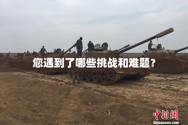 您遇到了哪些挑战和难题？