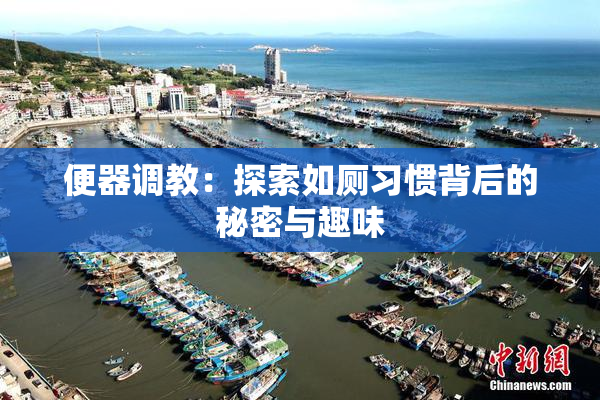 便器调教：探索如厕习惯背后的秘密与趣味