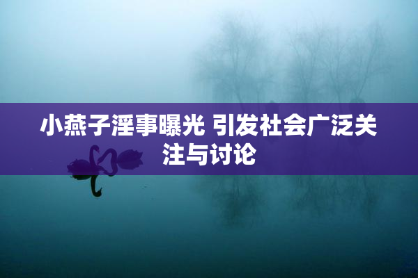 小燕子淫事曝光 引发社会广泛关注与讨论