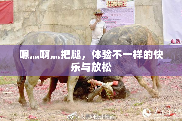 嗯灬啊灬把腿，体验不一样的快乐与放松