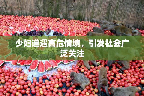少妇遭遇高危情境，引发社会广泛关注