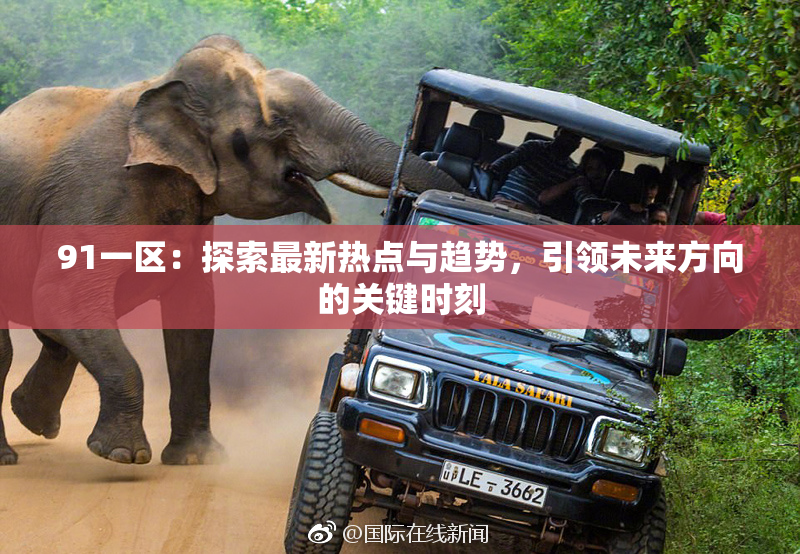 91一区：探索最新热点与趋势，引领未来方向的关键时刻