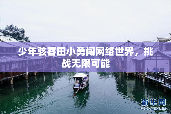 少年骇客田小勇闯网络世界，挑战无限可能