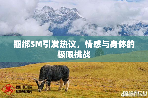 捆绑SM引发热议，情感与身体的极限挑战