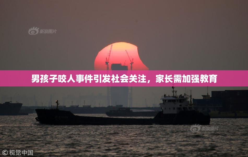 男孩子咬人事件引发社会关注，家长需加强教育