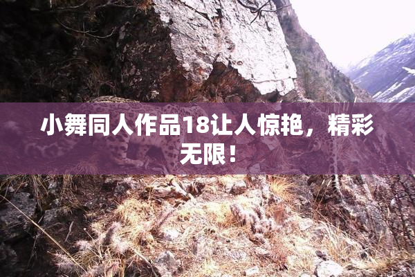 小舞同人作品18让人惊艳，精彩无限！