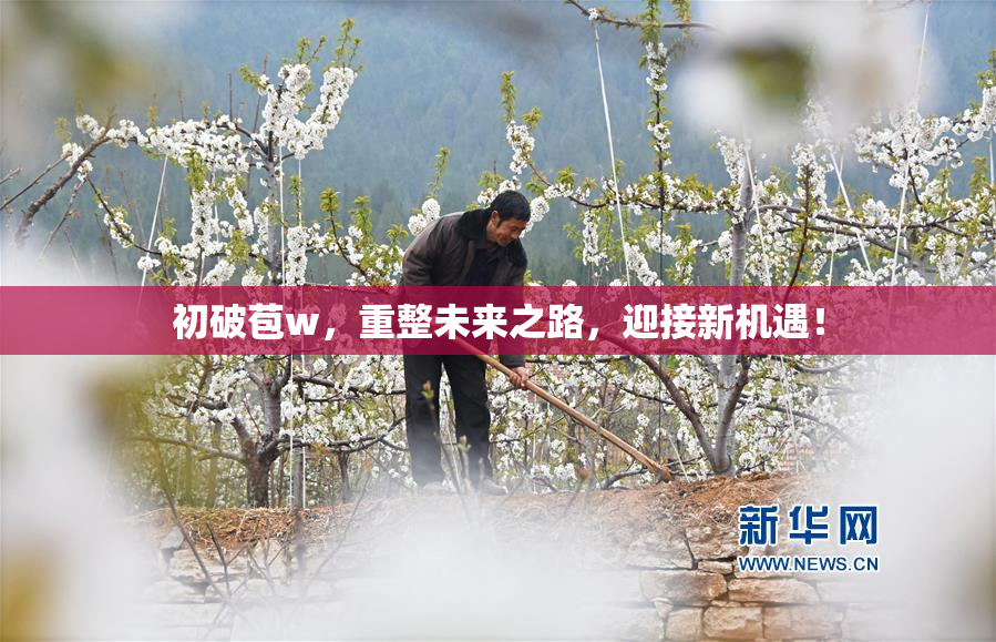初破苞w，重整未来之路，迎接新机遇！