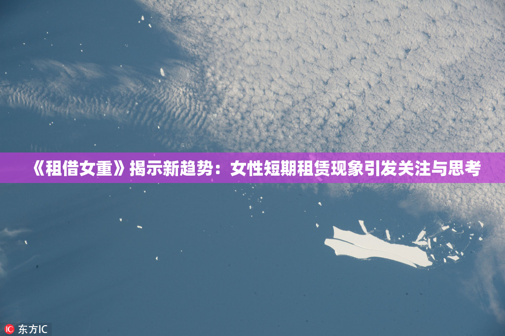 《租借女重》揭示新趋势：女性短期租赁现象引发关注与思考
