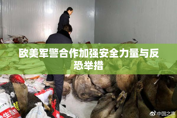 欧美军警合作加强安全力量与反恐举措