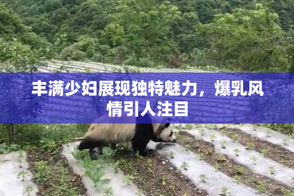 丰满少妇展现独特魅力，爆乳风情引人注目