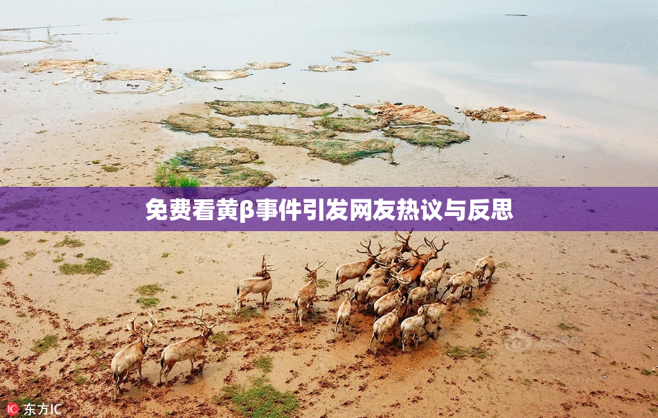 免费看黄β事件引发网友热议与反思