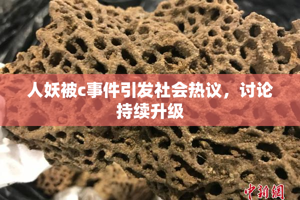 人妖被c事件引发社会热议，讨论持续升级