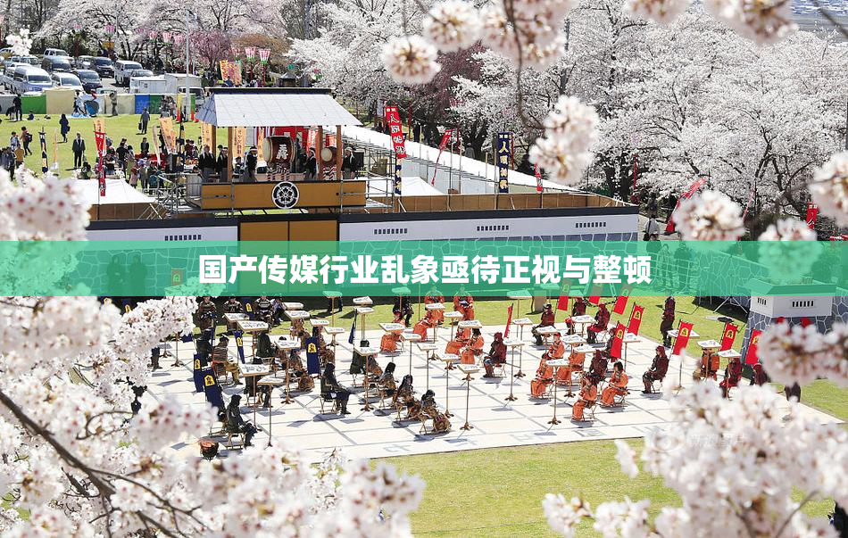 国产传媒行业乱象亟待正视与整顿