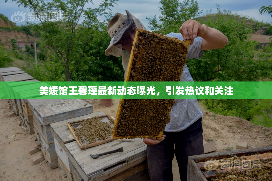 美媛馆王馨瑶最新动态曝光，引发热议和关注