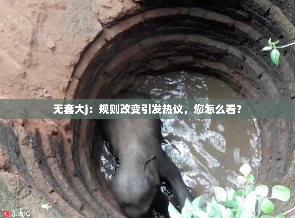 无套大j：规则改变引发热议，您怎么看？