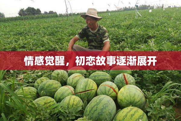情感觉醒，初恋故事逐渐展开