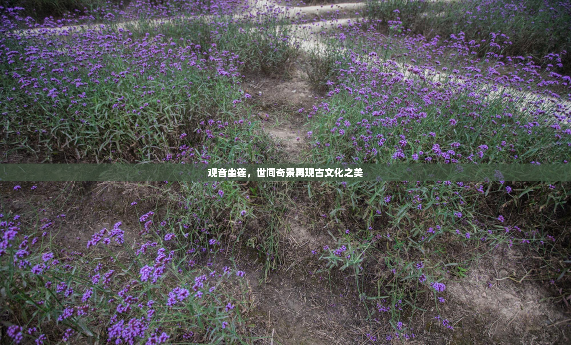 观音坐莲，世间奇景再现古文化之美