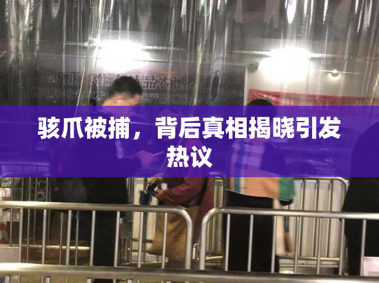 骇爪被捕，背后真相揭晓引发热议