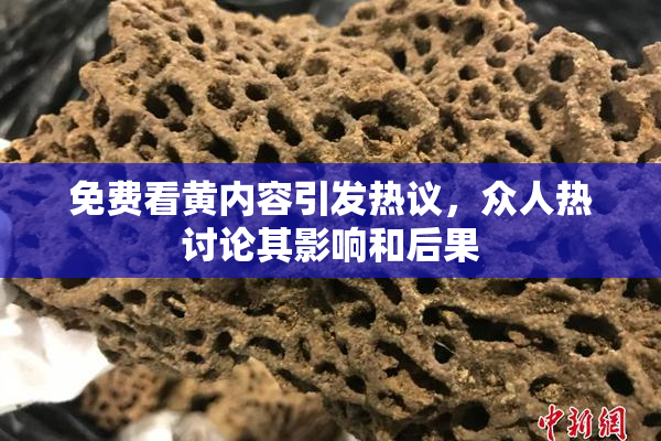 免费看黄内容引发热议，众人热讨论其影响和后果